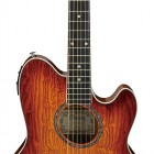 Ibanez TCY20