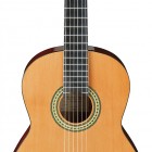 Ibanez GA3