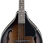 Dark Violin Sunburst