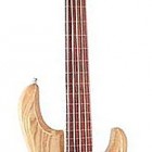 Stingray 5 Fretless