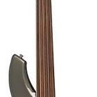 Bongo 5 Fretless