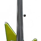 Big al 4 Fretless