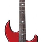 Billy Sheehan 4 String