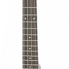 Steinberger XT-2