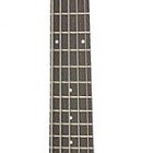 Steinberger XT-25