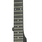 Steinberger ST-2FPA