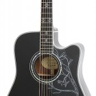 Dave Navarro Signature