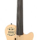 Godin A5 SA Fretless