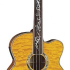 Dragonfly 4 Fretless