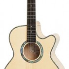 Epiphone Performer SE