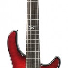 Fernandes Signature Tremor