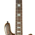 Spector SE II