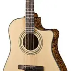 Fender CD-220SCE (Ash)