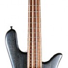 Spector Gary Talent Signature