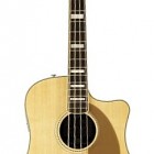 Kingman Acoustic