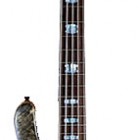 Spector NS-5H2 EX