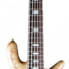 Spector 6 LX