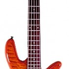 Spector 5 String