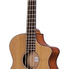 Breedlove Solo BJ350/CMe4 