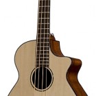 Breedlove Studio BJ350/SMe4