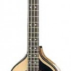 Hofner 5000/1 Deluxe