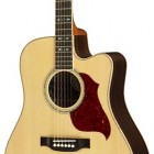 Songwriter Deluxe Standard EC