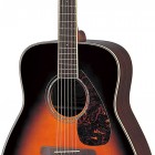 Tobacco Brown Sunburst