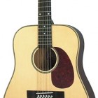 Rogue Herringbone 12-String Acoustic