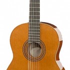 Hofner HZ 25