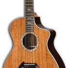 Breedlove Focus Special Edition