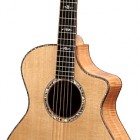 Breedlove Pacific