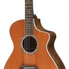 Breedlove Focus Special Edition Walnut