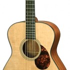 Breedlove OM/AM Deluxe