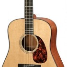 Breedlove D/AM Deluxe