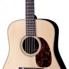 Breedlove D/AR Deluxe