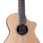 Breedlove American C25/SSe