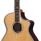 Breedlove Atlas Stage C25/SRe