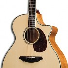 Breedlove Atlas Stage J35/EFe