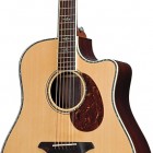 Breedlove Atlas Stage D25/SRe