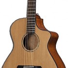 Breedlove Atlas Solo C350/CMe