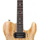 Special Edition Custom Telecaster Spalted Maple HH