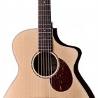 Breedlove Atlas Solo C350/CRe