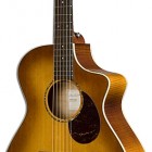 Breedlove Passport Plus C250