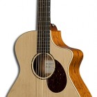 Breedlove Passport Plus C250/SBe 12