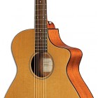 Breedlove Passport C250/CMe