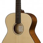 Breedlove Passport C200/SMP