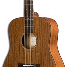 Breedlove Passport D/MMe