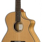 Breedlove Passport C250/COe