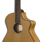 Breedlove Passport N250/COe