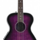 Plum Purple Burst